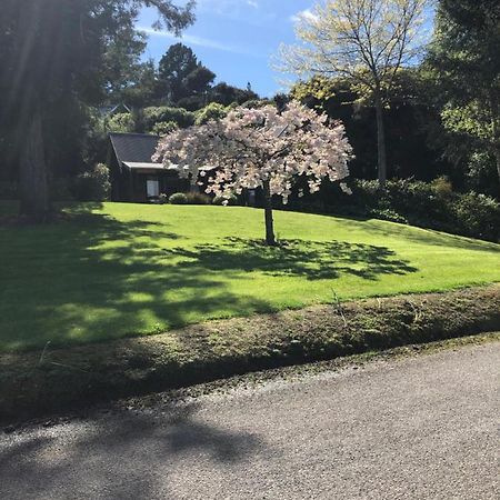 Cherrywood Cottage Akaroa Dış mekan fotoğraf