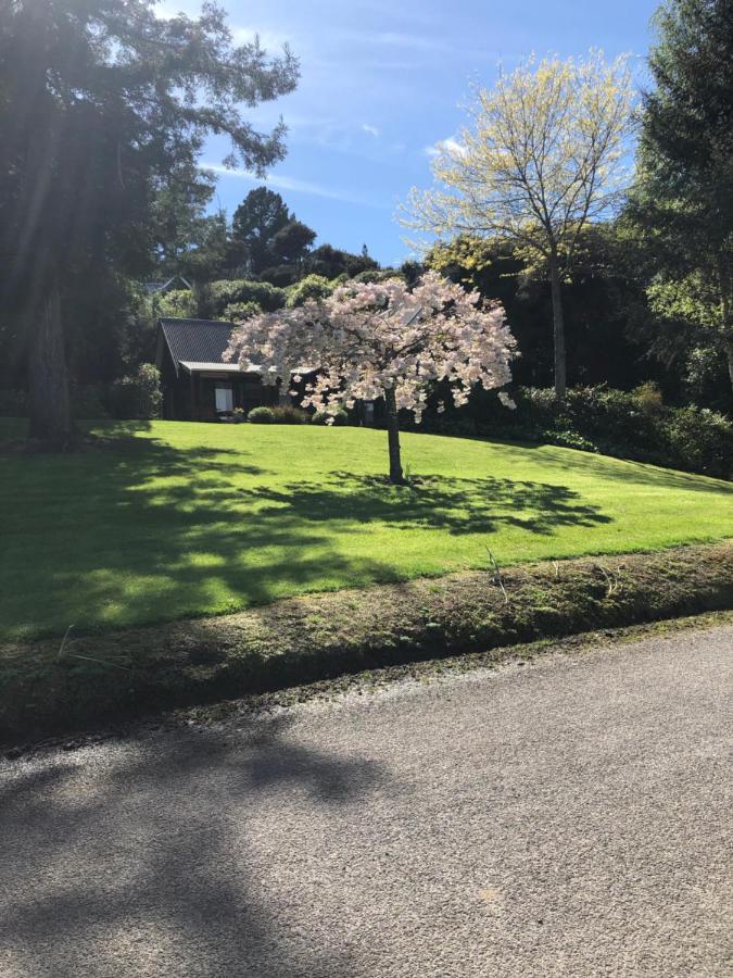 Cherrywood Cottage Akaroa Dış mekan fotoğraf